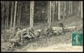 Schlittage des bois.jpg